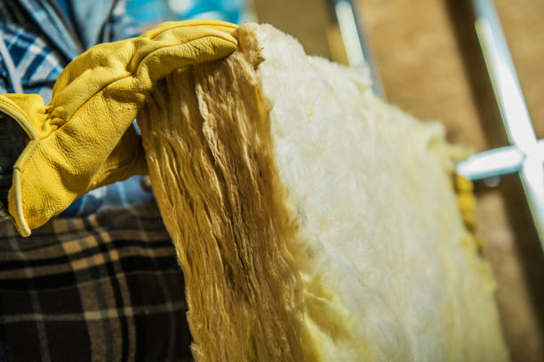 Best Cellulose Insulation in Lebanon, KY
