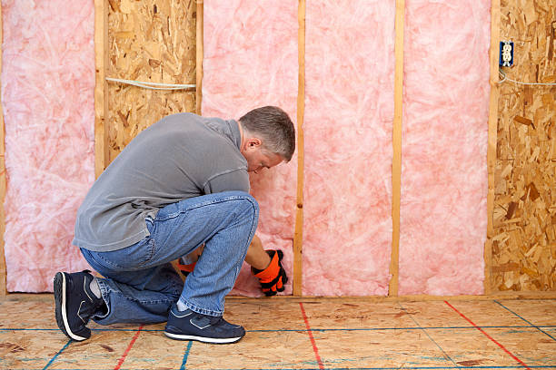 Best Specialized Insulation Services in Lebanon, KY