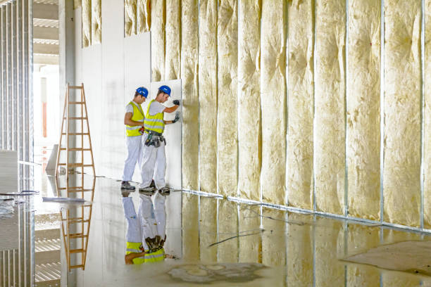 Best Geographic-Specific Insulation Services in Lebanon, KY